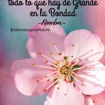 flores con frases (707)
