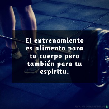 Imagenes de Gimnasio (771)