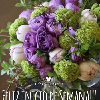 flores con frases (800)