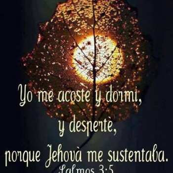 fa5587335d969f1edd65b568dd32133d