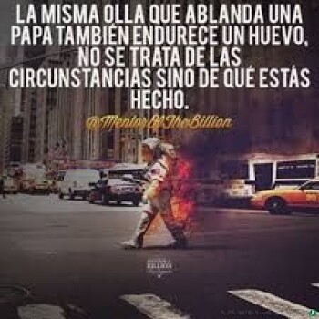 frases consejos (1224)