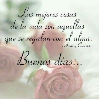 flores con frases (854)