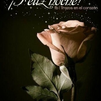flores con frases (729)