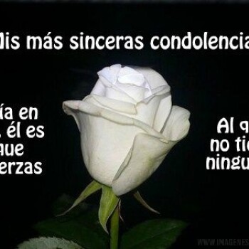 imagenes-frases-luto (842)