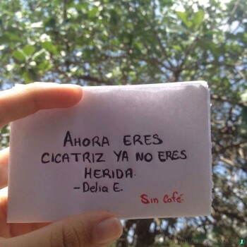 frases desamor (993)
