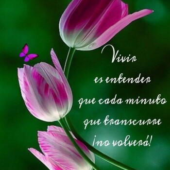 imagenes de buenos dias (1030)