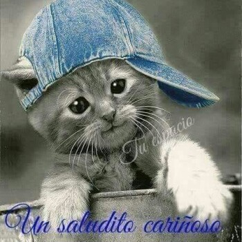 imagenes de buenos dias (888)
