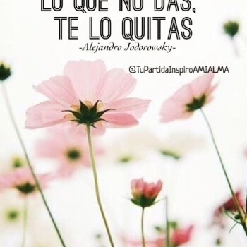 flores con frases (835)