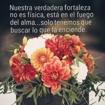 imagenes de buenos dias (852)