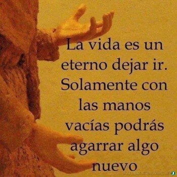 frases-de-la-vida (782)