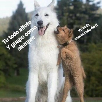 imagenes tristes sad (897)