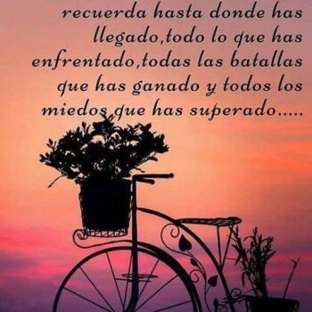frases consejos (1249)