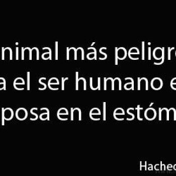 imagenes frases variadas (1045)