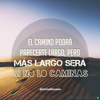 frases de exito (1097)