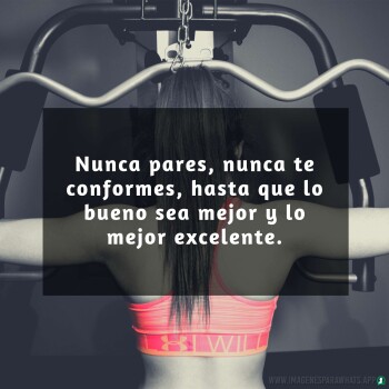 Imagenes de Gimnasio (807)