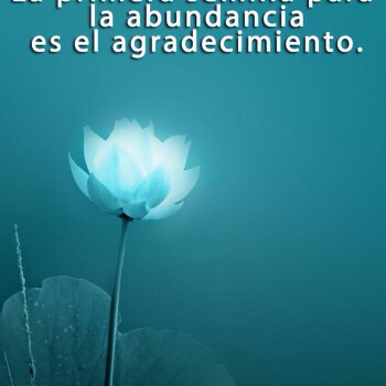 Frases de Agradecimiento (3)
