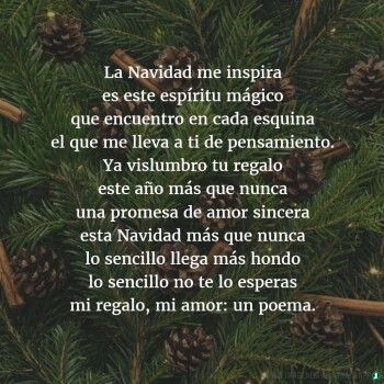 imagenes de navidad (592)