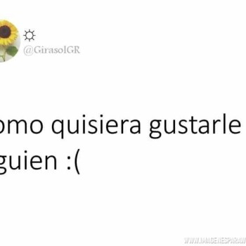 frases-verdaderas- (1610)