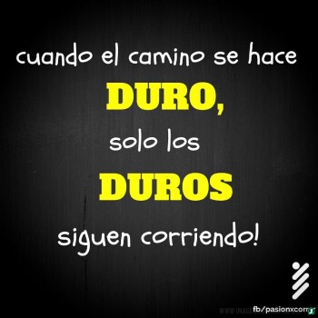 frases consejos (1311)