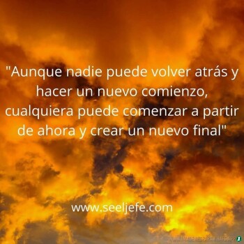 frases consejos (1316)