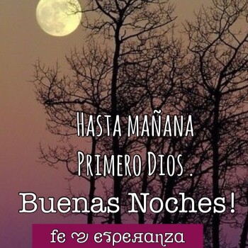 ed12b9fd82ce4797d72c550f013c1063