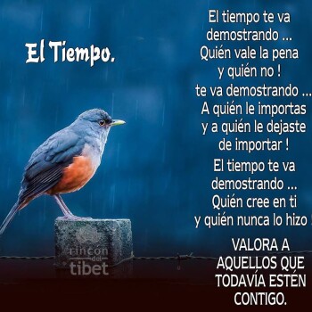 imagenes-de-amistad (1091)