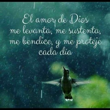 imagenes de buenos dias (1046)