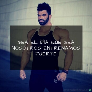 Imagenes de Gimnasio (878)