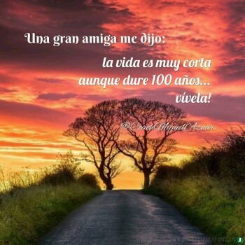 Imagenes de Agradecimiento (708)