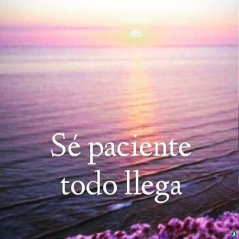 frases consejos (1237)