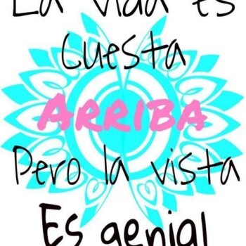 frases consejos (1223)
