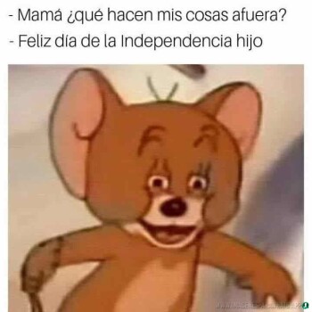 imagenes-de-memes (1105)