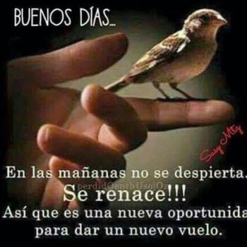 imagenes de buenos dias (914)
