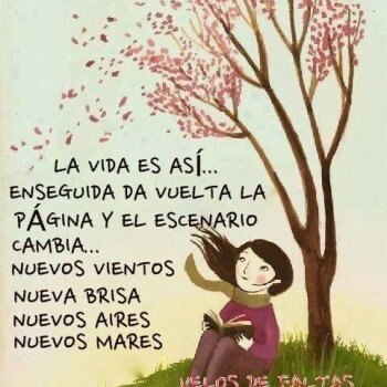 imagenes de felicidad (774)