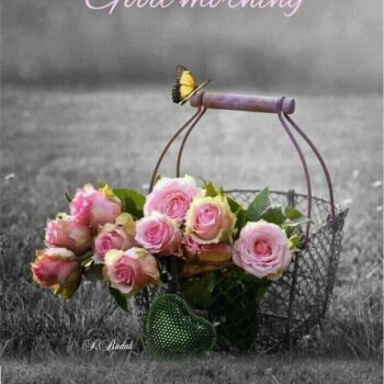 flores con frases (853)