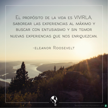 frases-viajar (65)