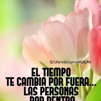 flores con frases (792)