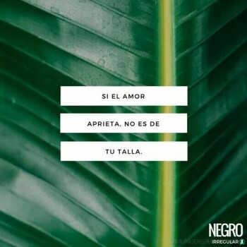 frases desamor (897)