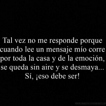 imagenes con chistes (2317)