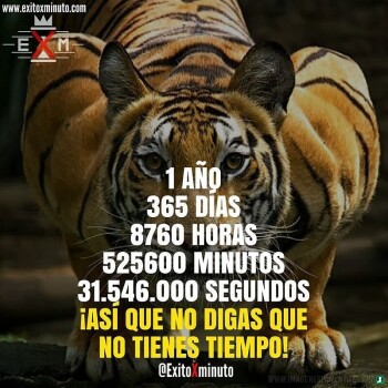 frases-verdaderas- (1631)