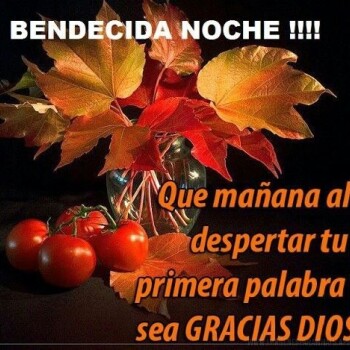 ea203dd3da7760e808fa9b02788214b8