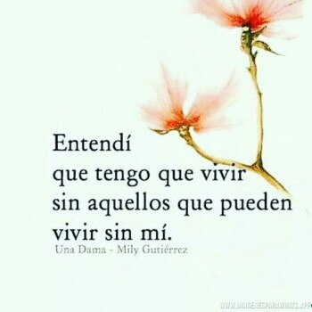 flores con frases (717)