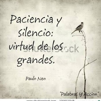 frases-verdaderas- (1664)