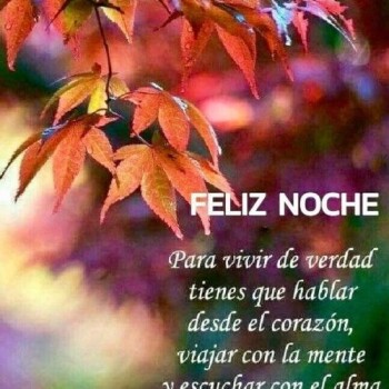 f60a738d6db8de885e7487927dd1c26b