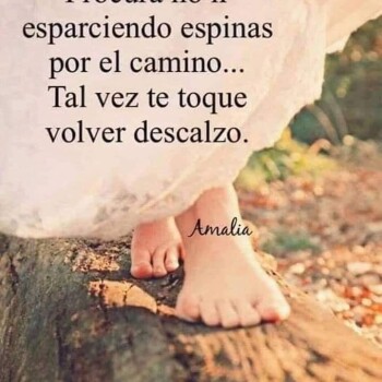 imagenes de reflexion whatsapp (1557)