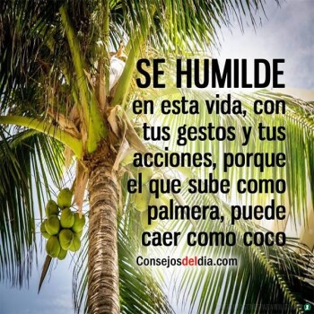 imagenes de humildad (206)