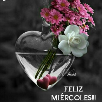flores con frases (845)