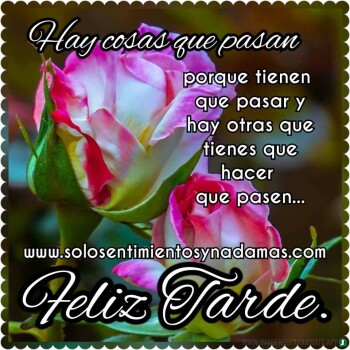 imagenes de buenas tardes (1562)