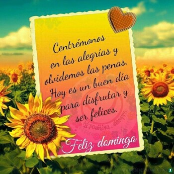 flores con frases (706)