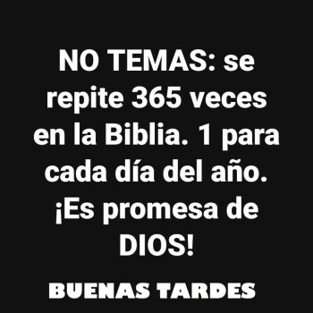 imagenes de buenas tardes (1598)